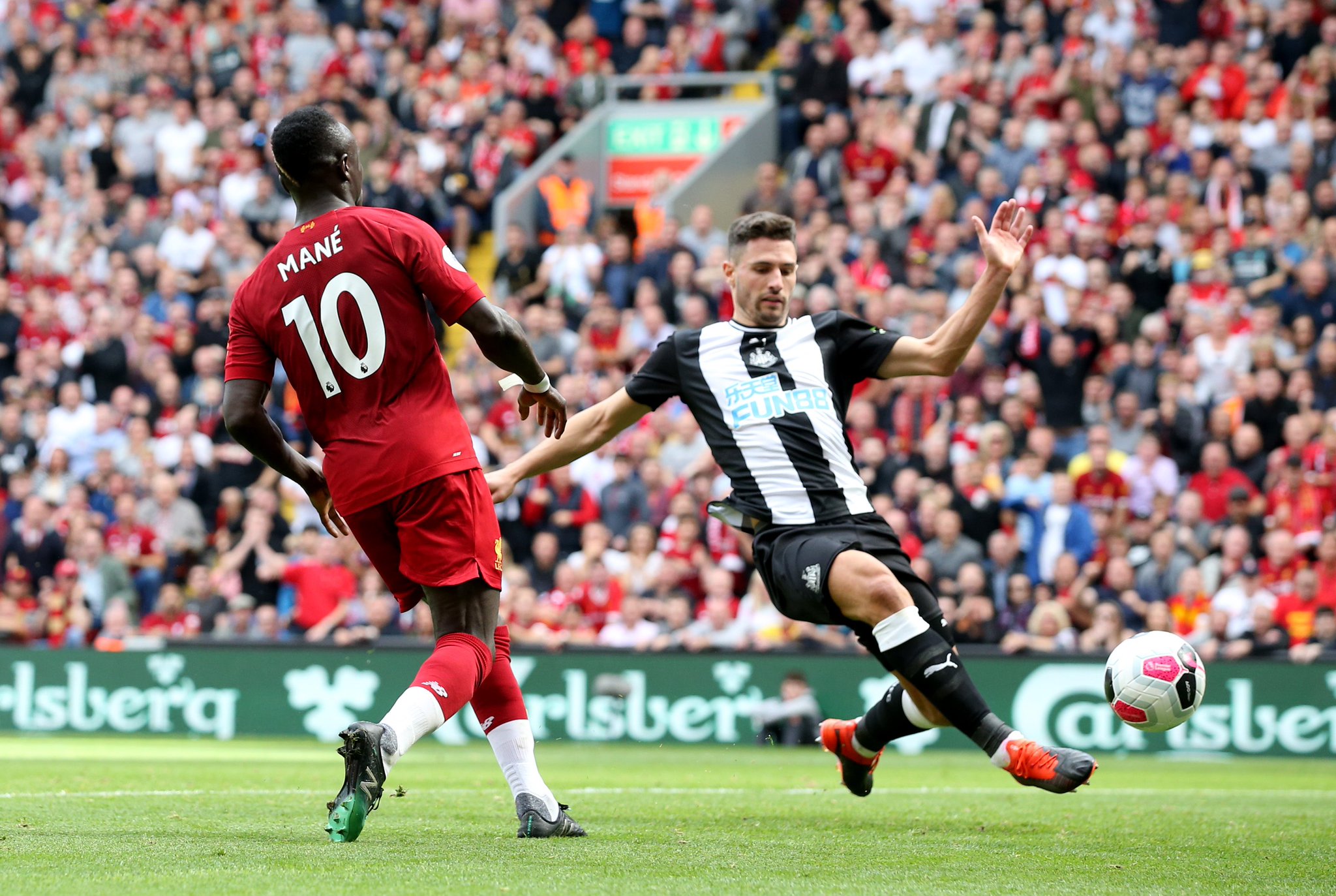 小西蒙尼双 小西蒙尼双